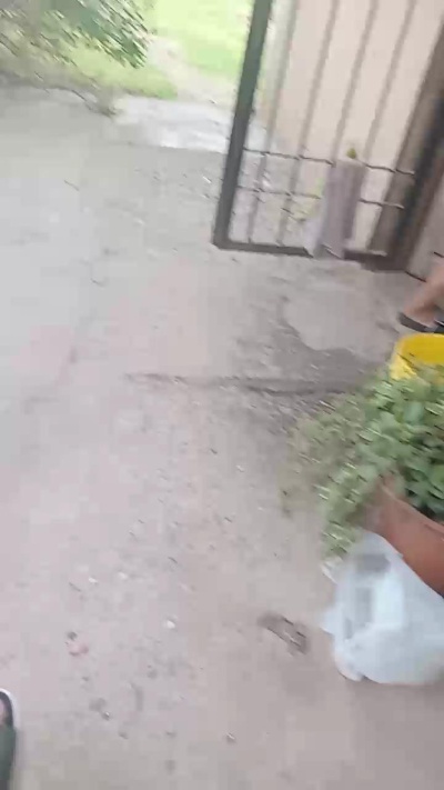 meli204 live from Argentina