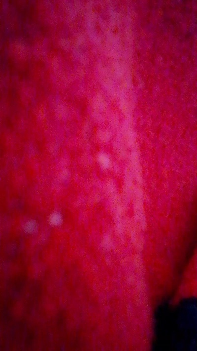 morocco4 live from France