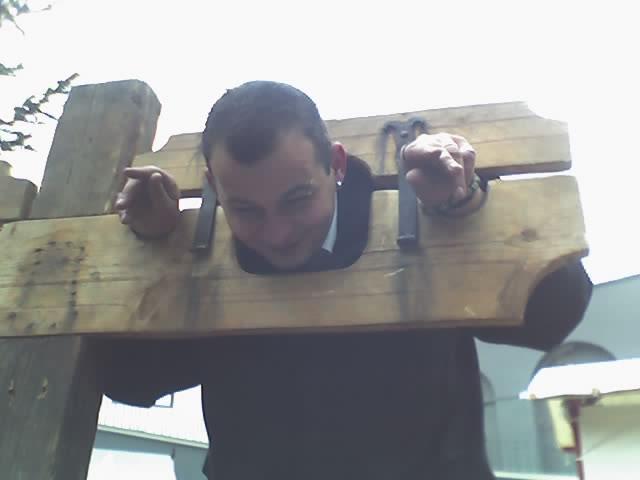 ngraupner Profile Image