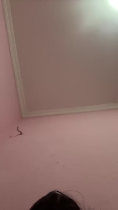 novinho1978 live from Brazil