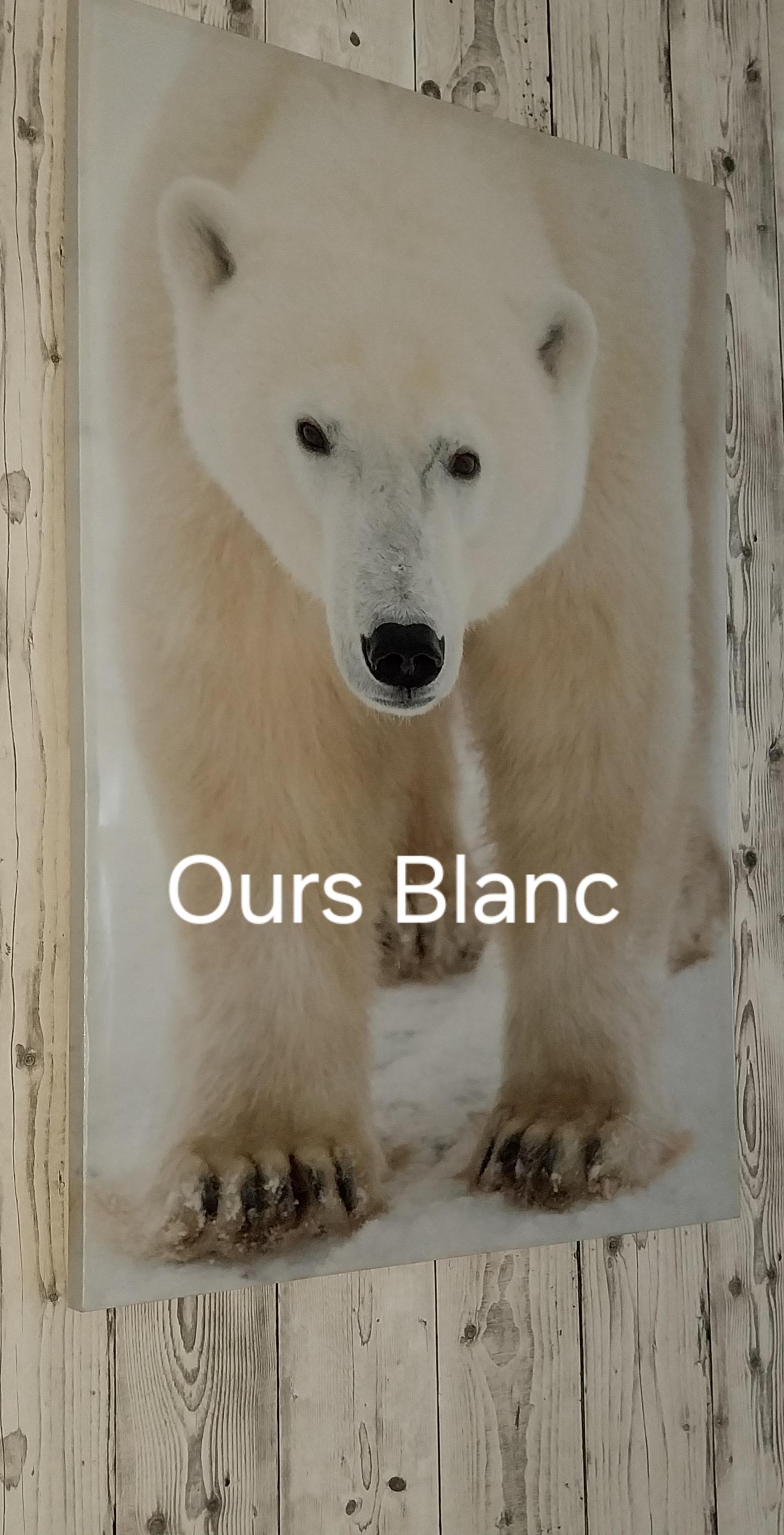 oursblanc75 live from France