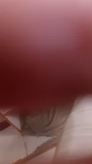 panterasj_Porin live from Argentina