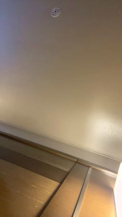 papixiv live from United States