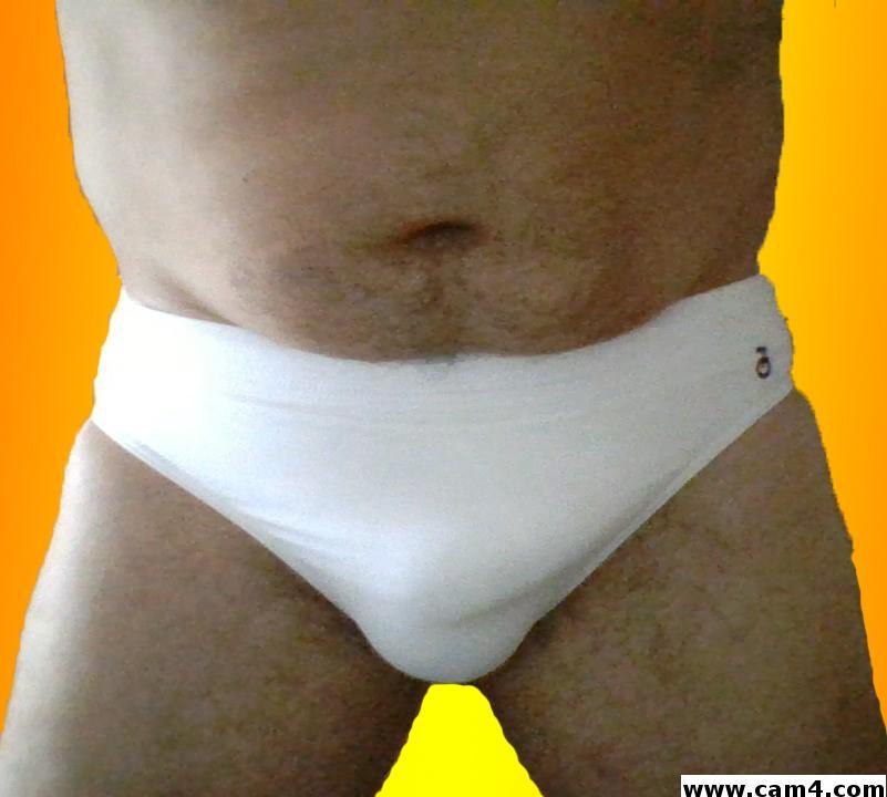 pongibear live from Italy