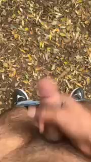 porcobg18 live from Italy