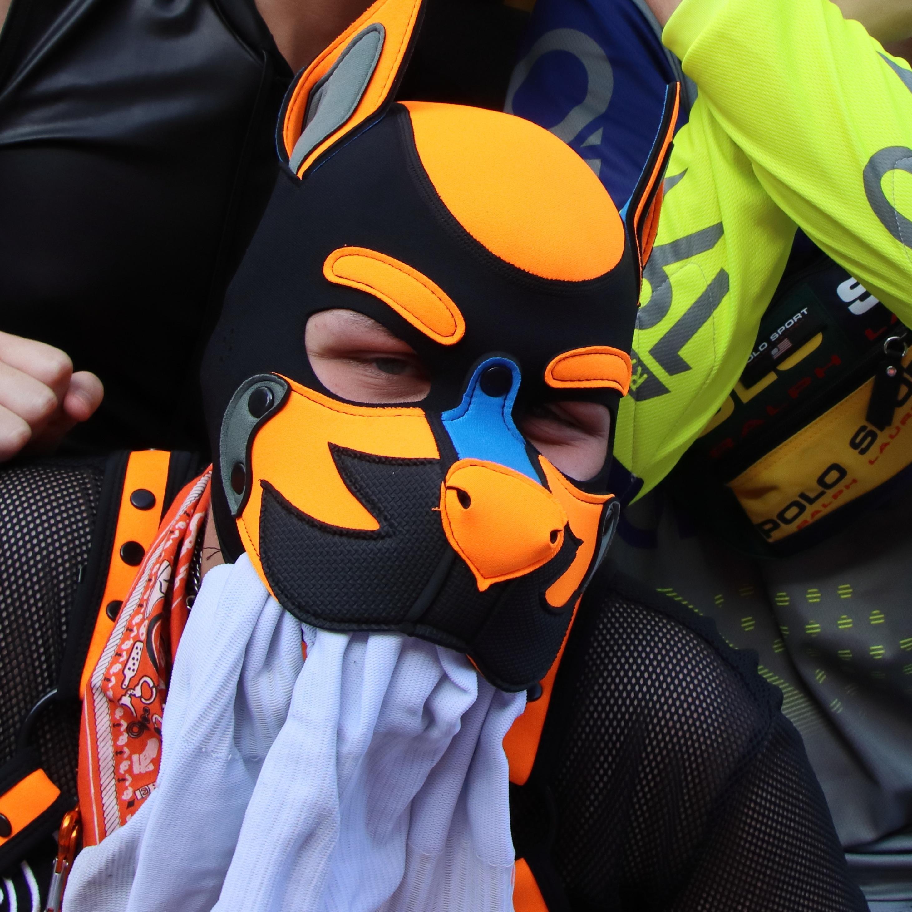 pup_Quentin live from Germany