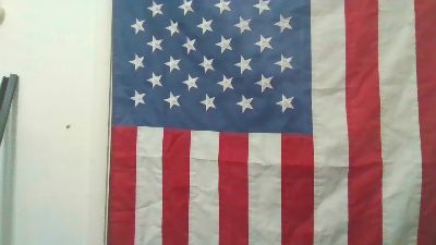 puppyaut live from United States