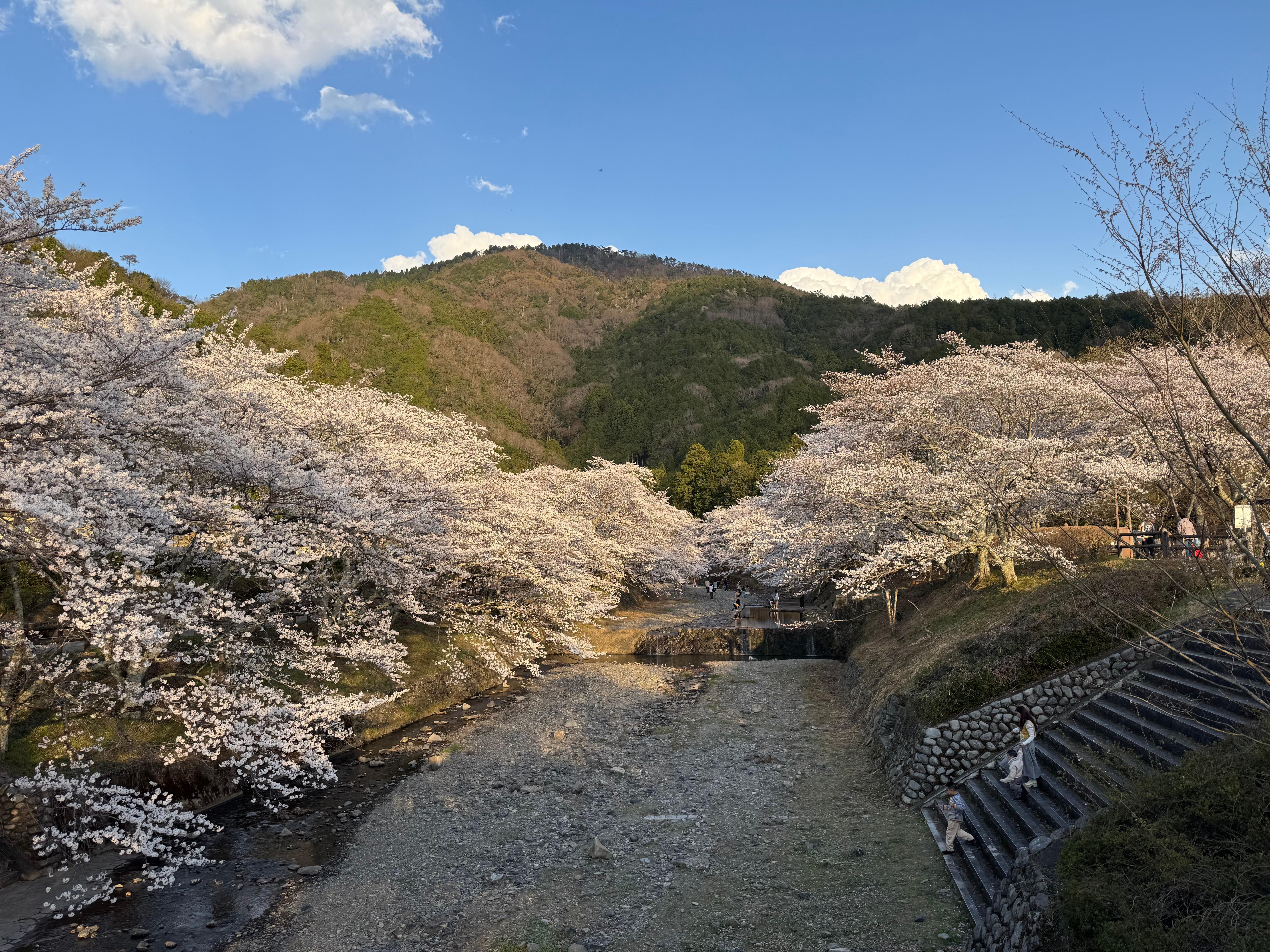 saburou591 live from Japan