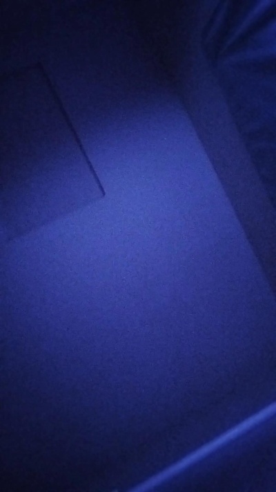 sexicansxtn live from United States