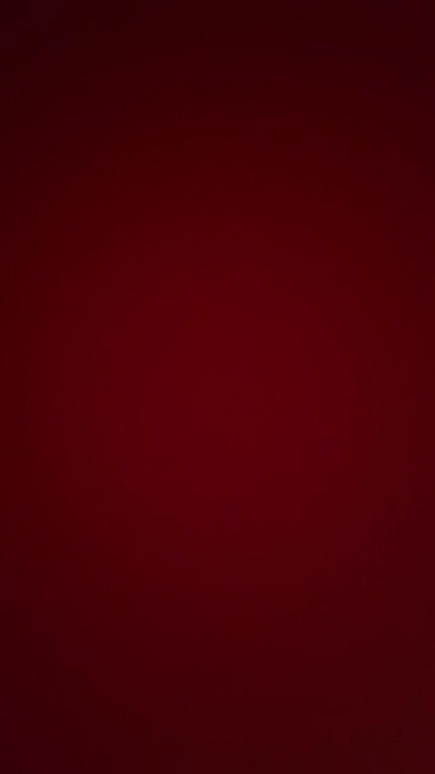 sweettightsara live from United States