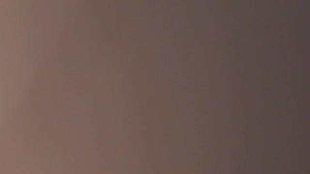 Mariko Burghart & Tomiko Chancellor