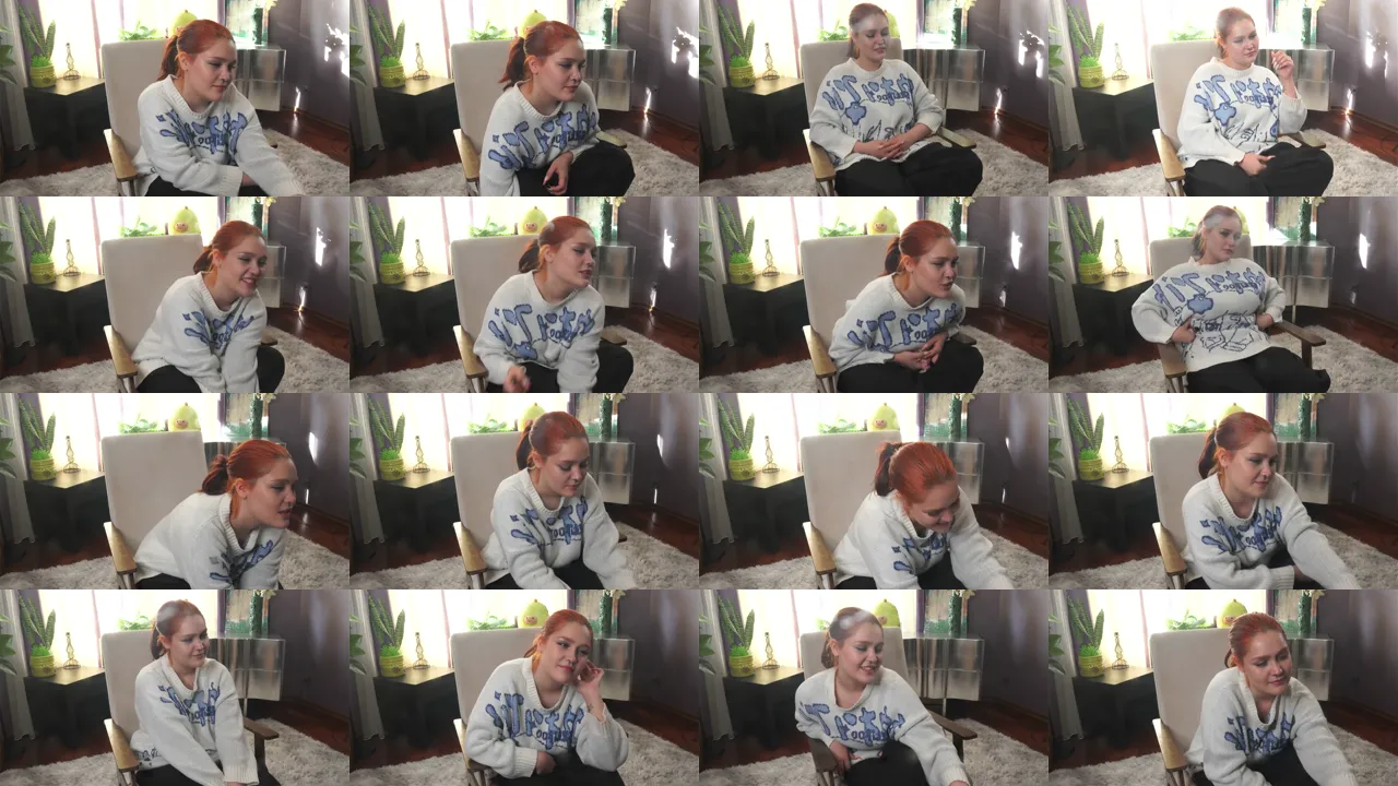 HD Capture Sheet of Sallie Art from April 17, 2026