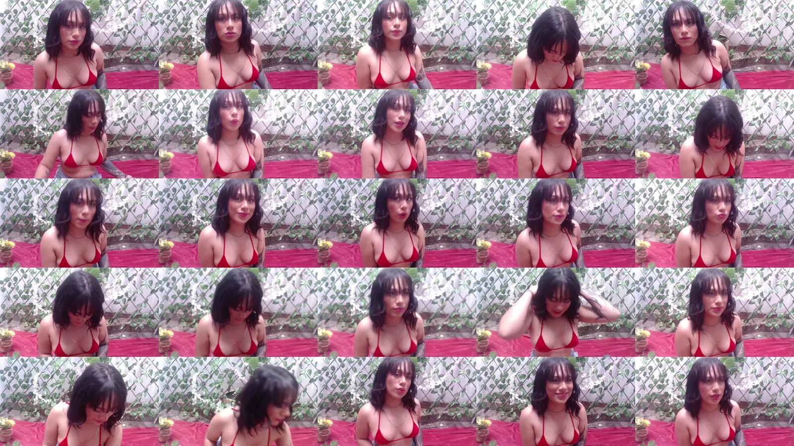 HD Capture Sheet of Antonella Scoot from April 23, 2026