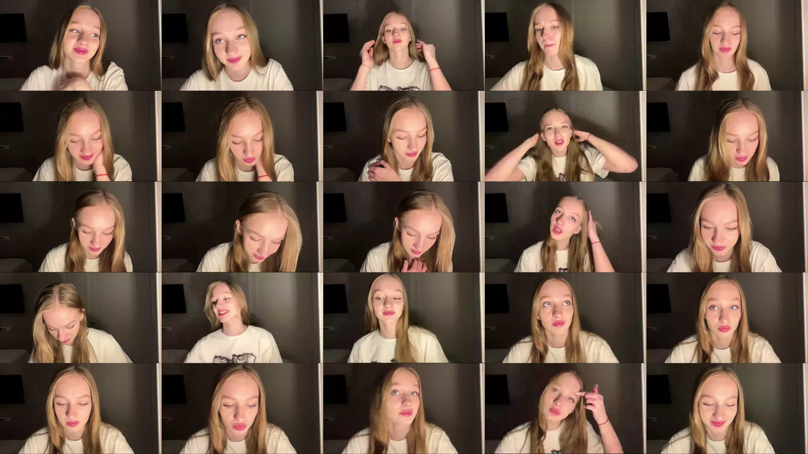 HD Capture Sheet of Diane Litle from April 26, 2026