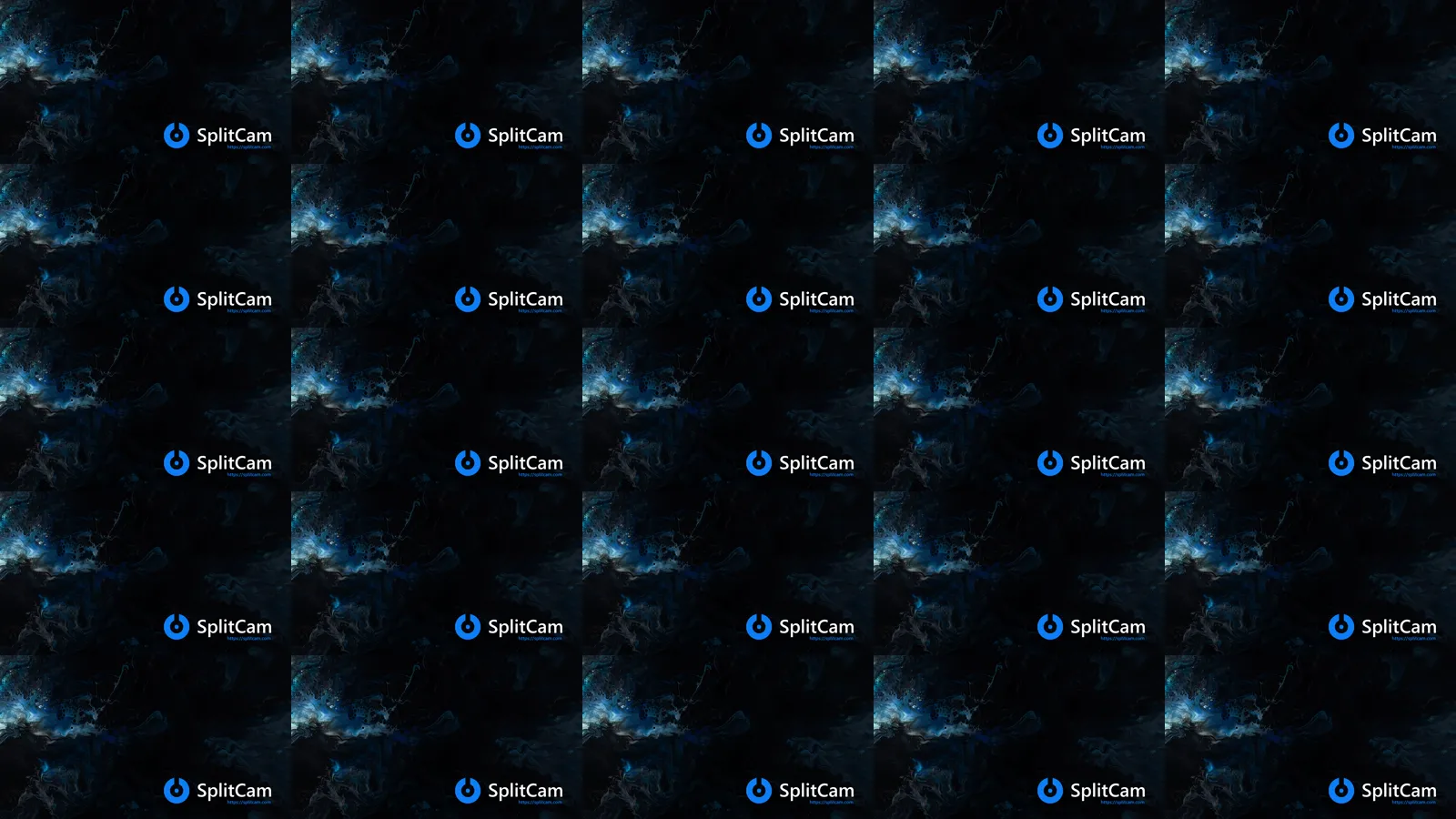 HD Capture Sheet of Kimberli Argueta from April 29, 2026