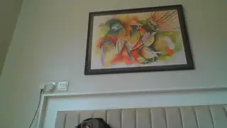 Sweet Shani live webcam model